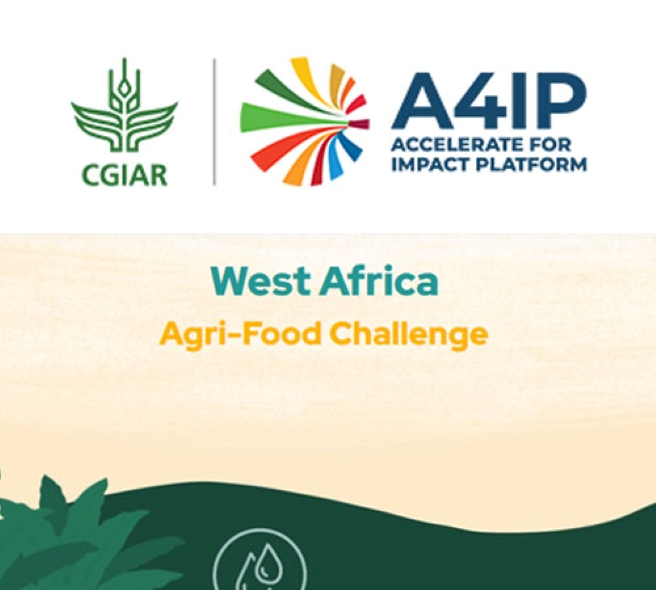 Opportunité : Révolutionnez l’agriculture africaine avec le West Africa Agri-Food Challenge !