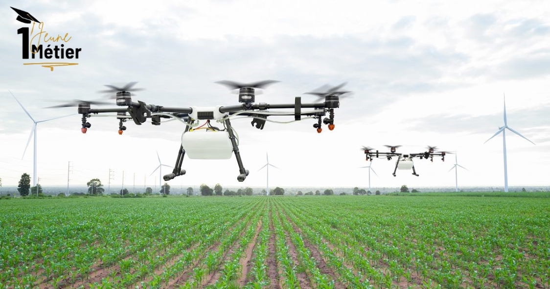 🌍 Agrobusiness 2.0 en Afrique Centrale : Comment la Tech révolutionne l’agriculture en 2026