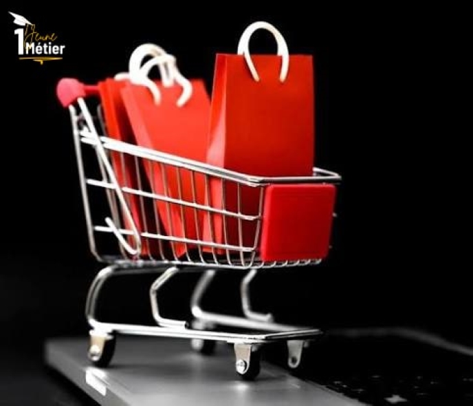 📦 Dropshipping en Afrique : Entre mirage des "gourous" et réalités du terrain, les vrais business à 